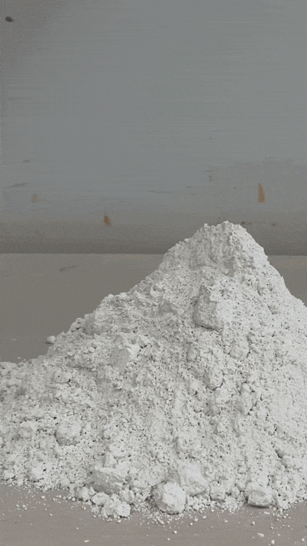 SALONNIÈRE PAPER preview