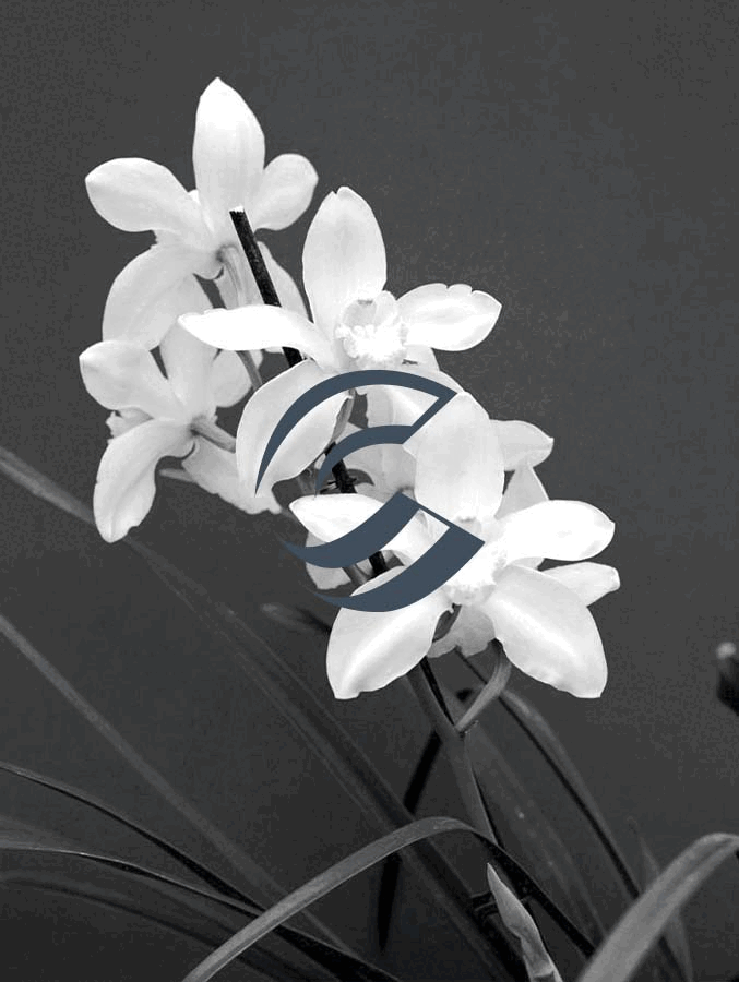 ezgif.com-gif-maker.gif