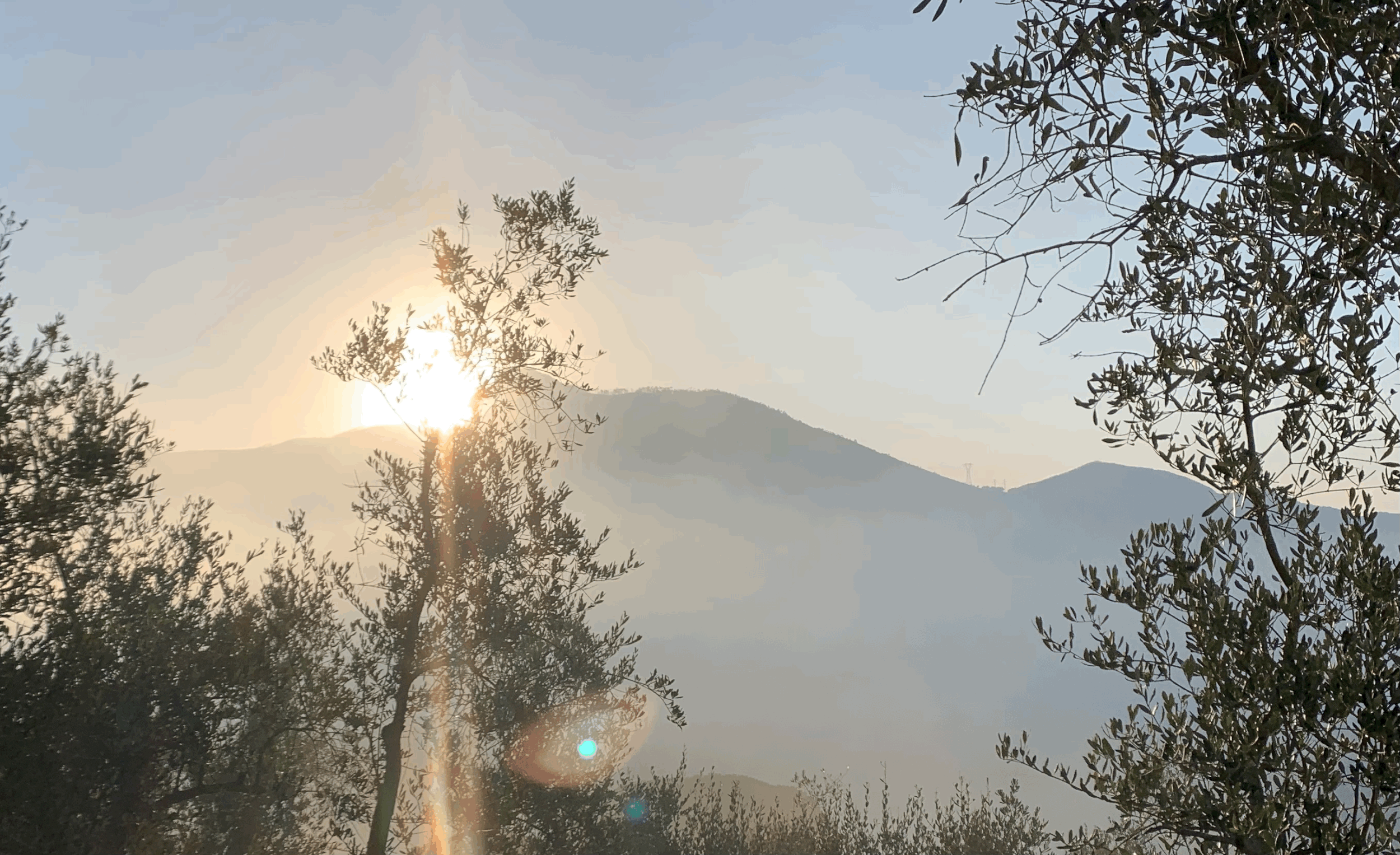 Un pensiero del mattino