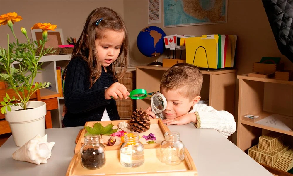 diferencias-enre-educacion-tradicional-y-metodo-montessori.jpg