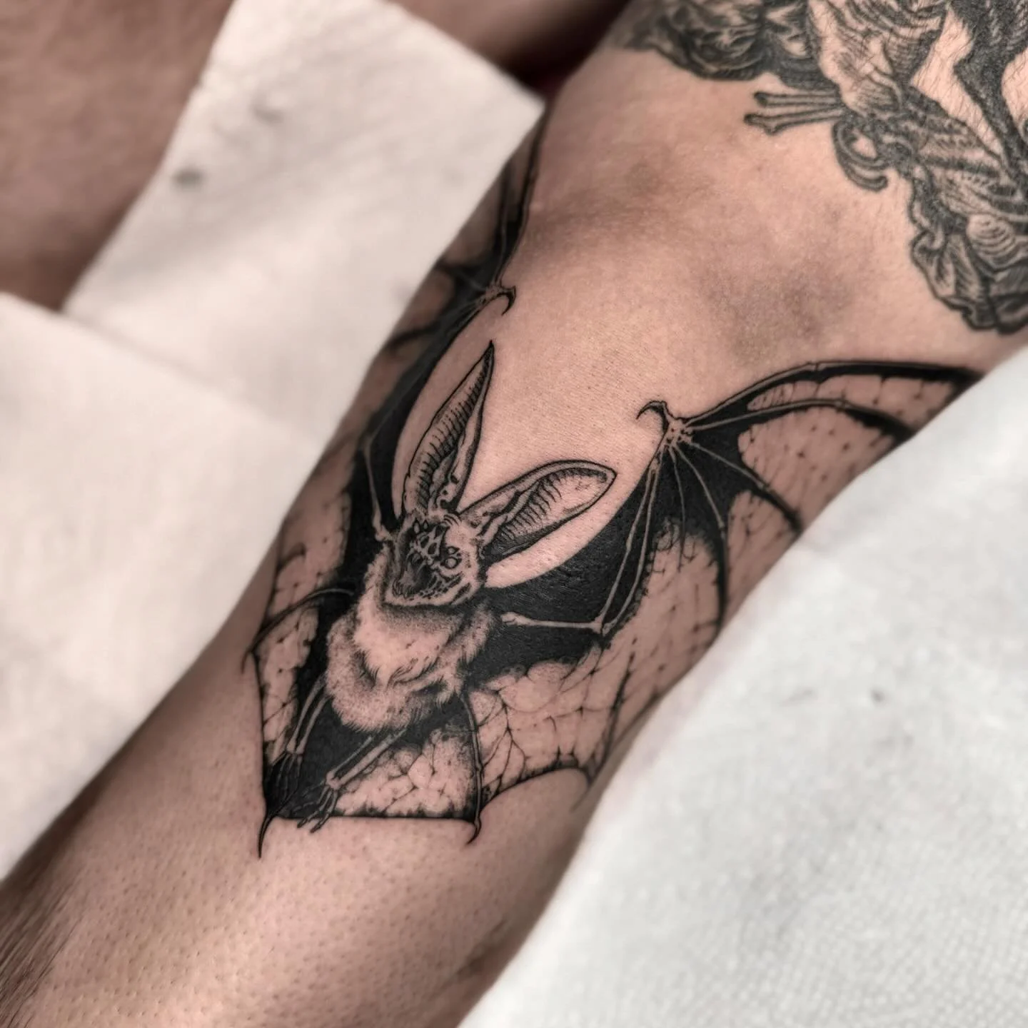 🦇 // thank you Ben!

#blackwork #blackworkers #blackworktattoo #blackworknow #blackworksubmission #artobscurae #tttism #darktattoo #darktattoos #blackworkartists #illustrativetattoo @fytsupplies @blackworkers