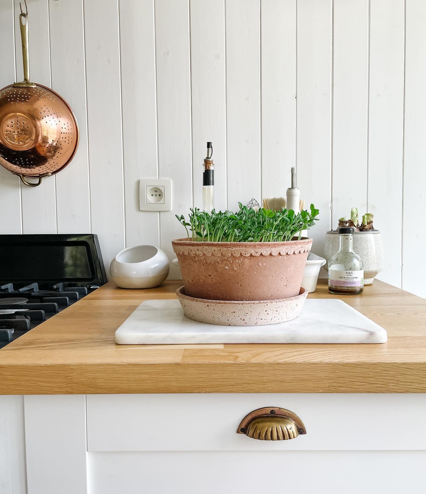 Obsessed with micro greens. For soups, on sandwiches, in salads &hellip; love it 🫛🫛🫛