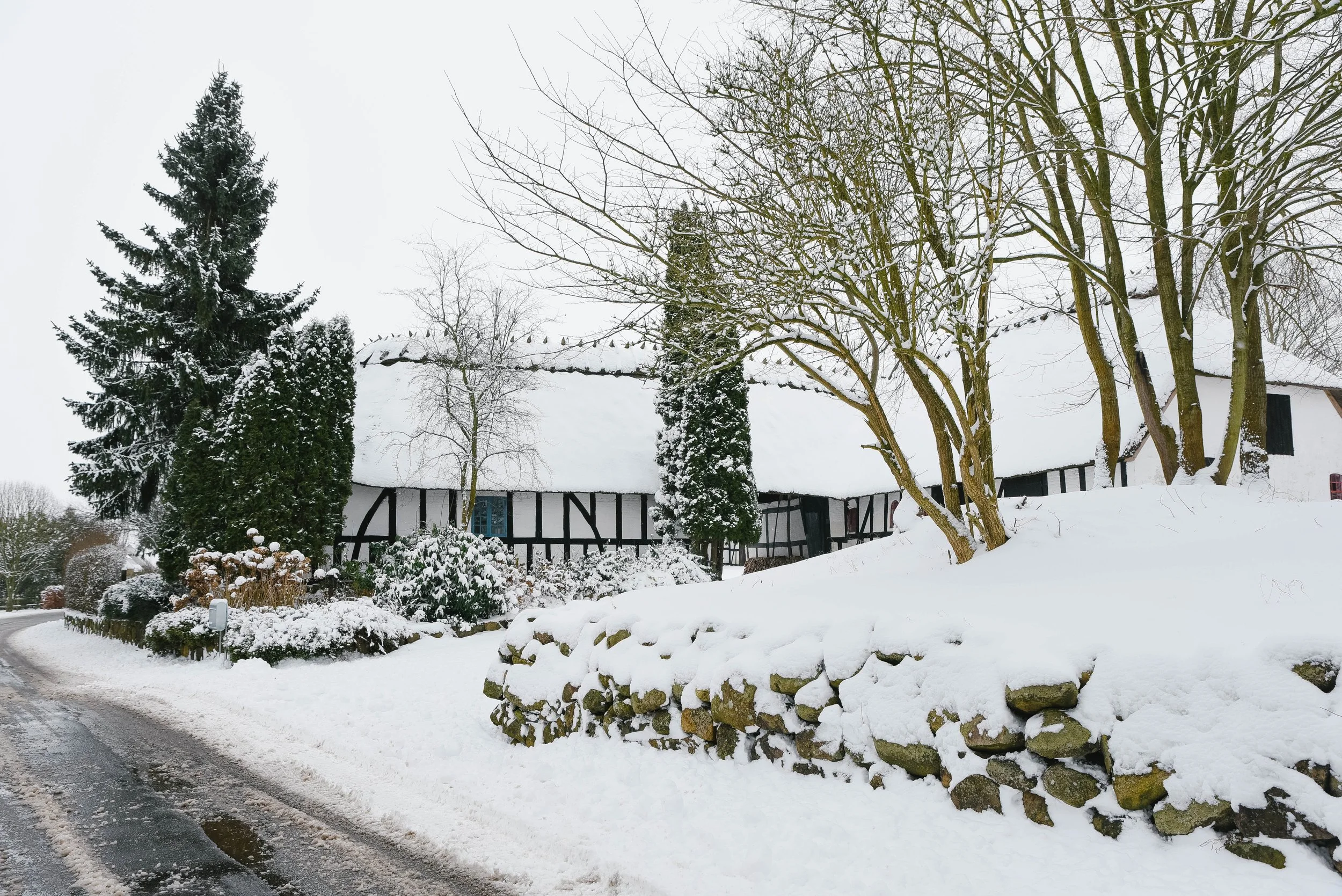 yvestown-damgård-winter-01.jpg