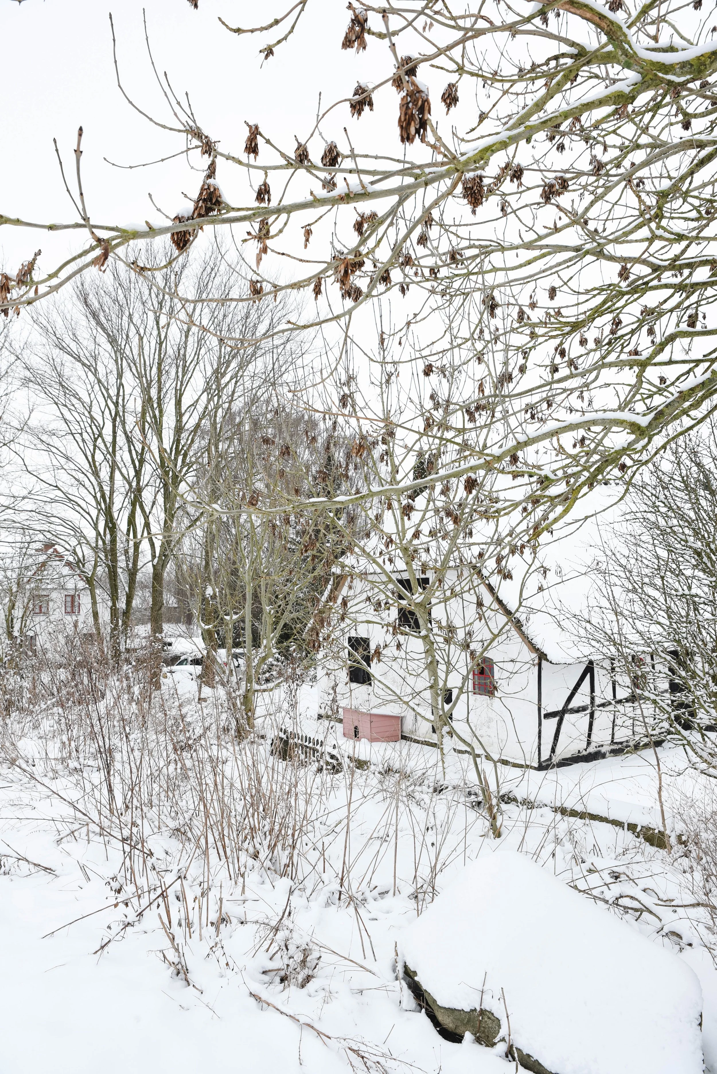 yvestown-damgård-winter-09.jpg