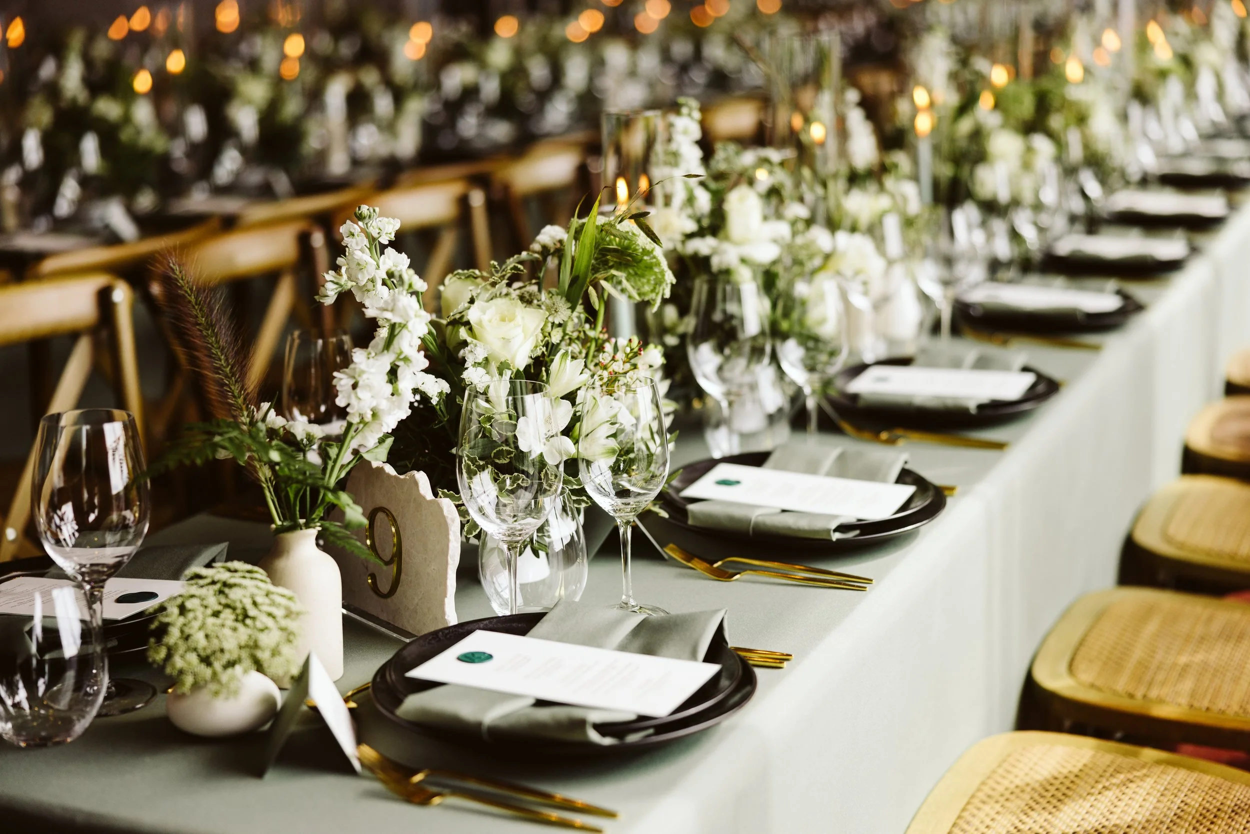 AlexKarl_photo_MomentStudio-1260.jpg
