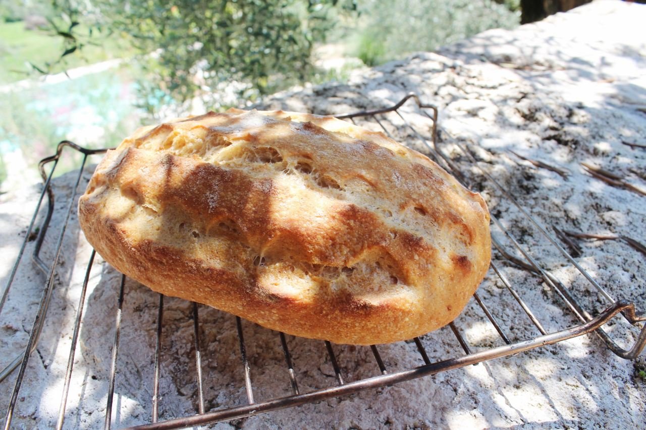 Carmelized onion, feta and rosemary 