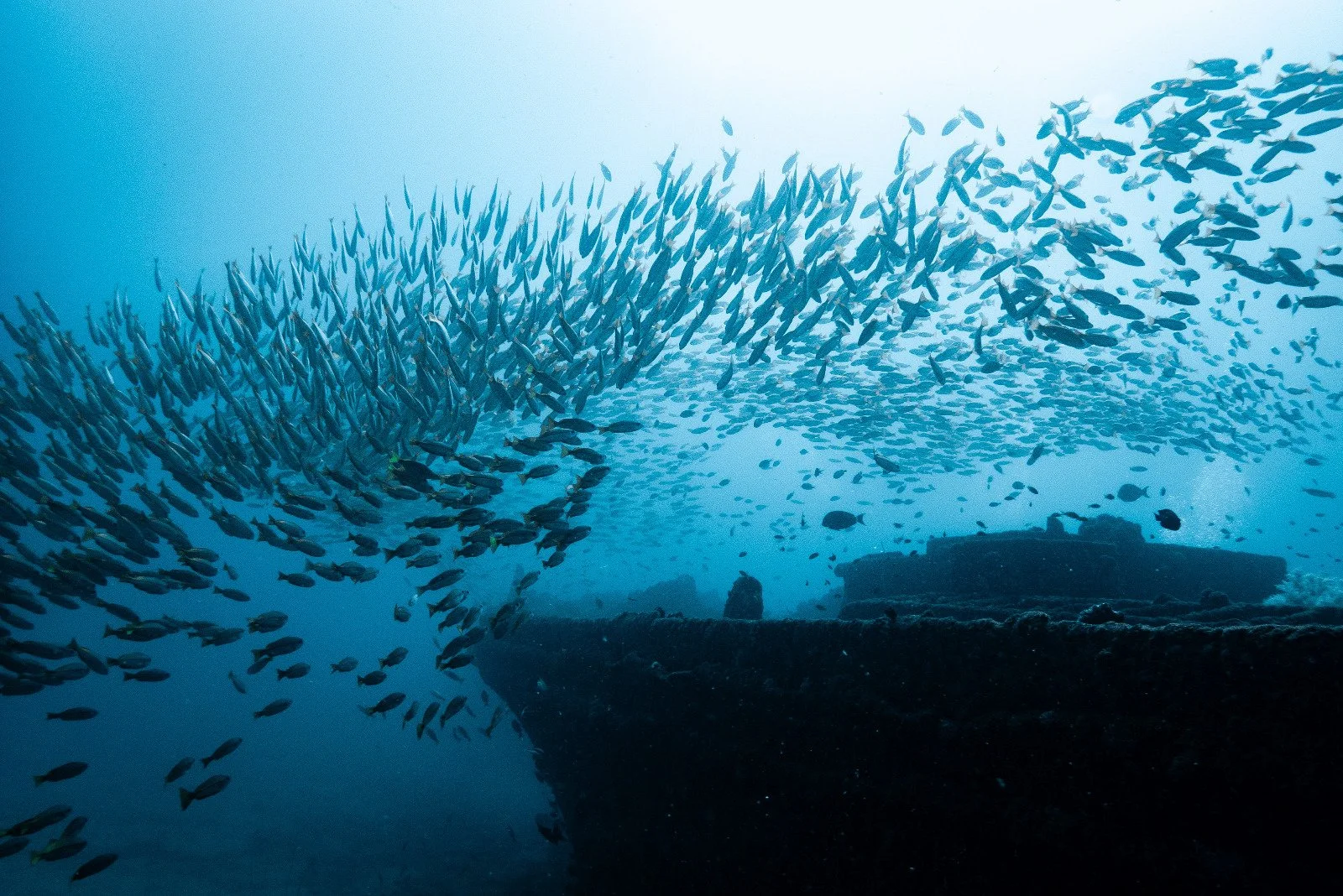 Crafting Local Climate Change Stories to Spark Global Action