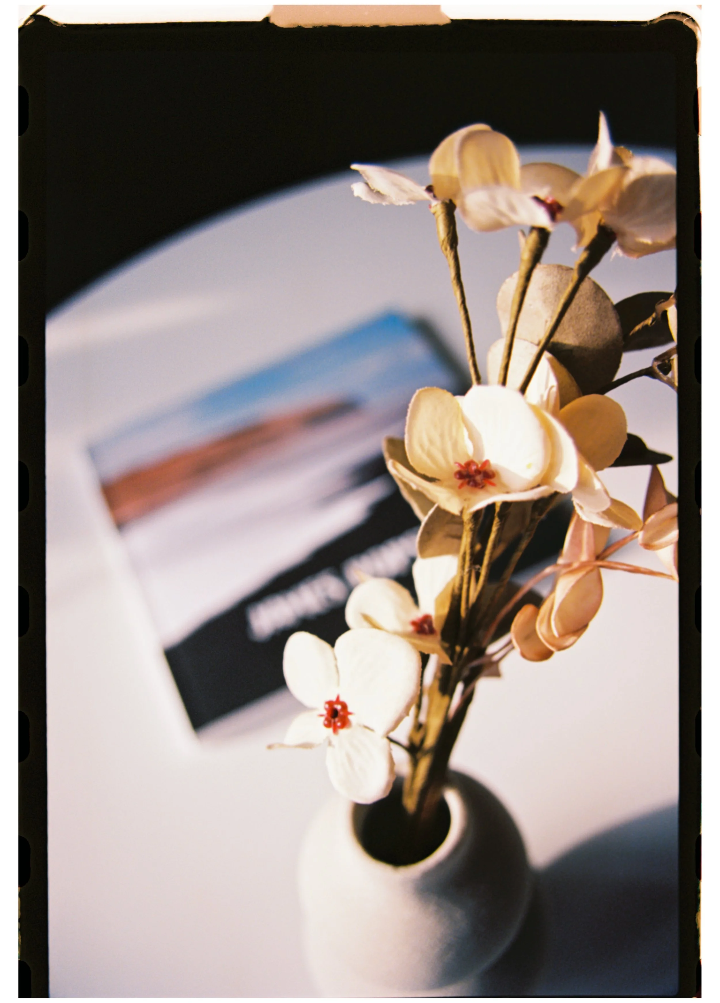 * denna bild är tagen med analog kamera på Kodak UltraMax 400 135-film