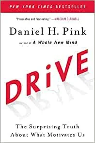 Drive: The Surprising Truth About What Motivates Us