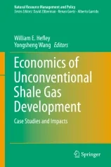 Dr. Nyangon Details the Economics of Shale Gas in New Energy Journal Book Review