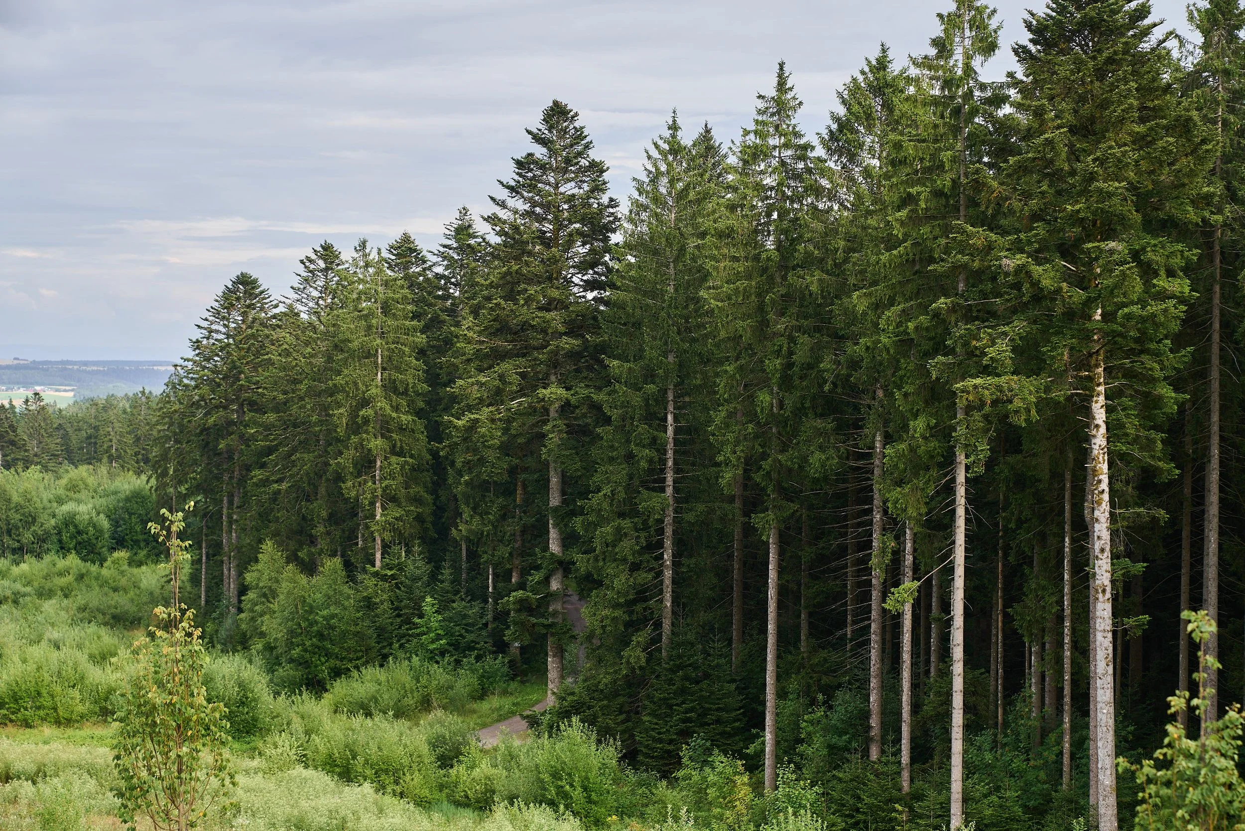 Architekturfotografie Office und Logistik_Jan Kaiser 12.jpg