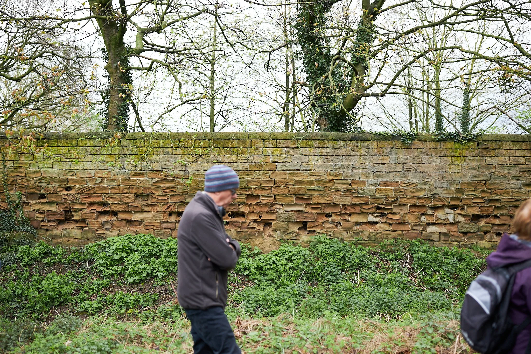 'Walls and Wildlife' A walk led by historian Barbara Phipps 9.jpg