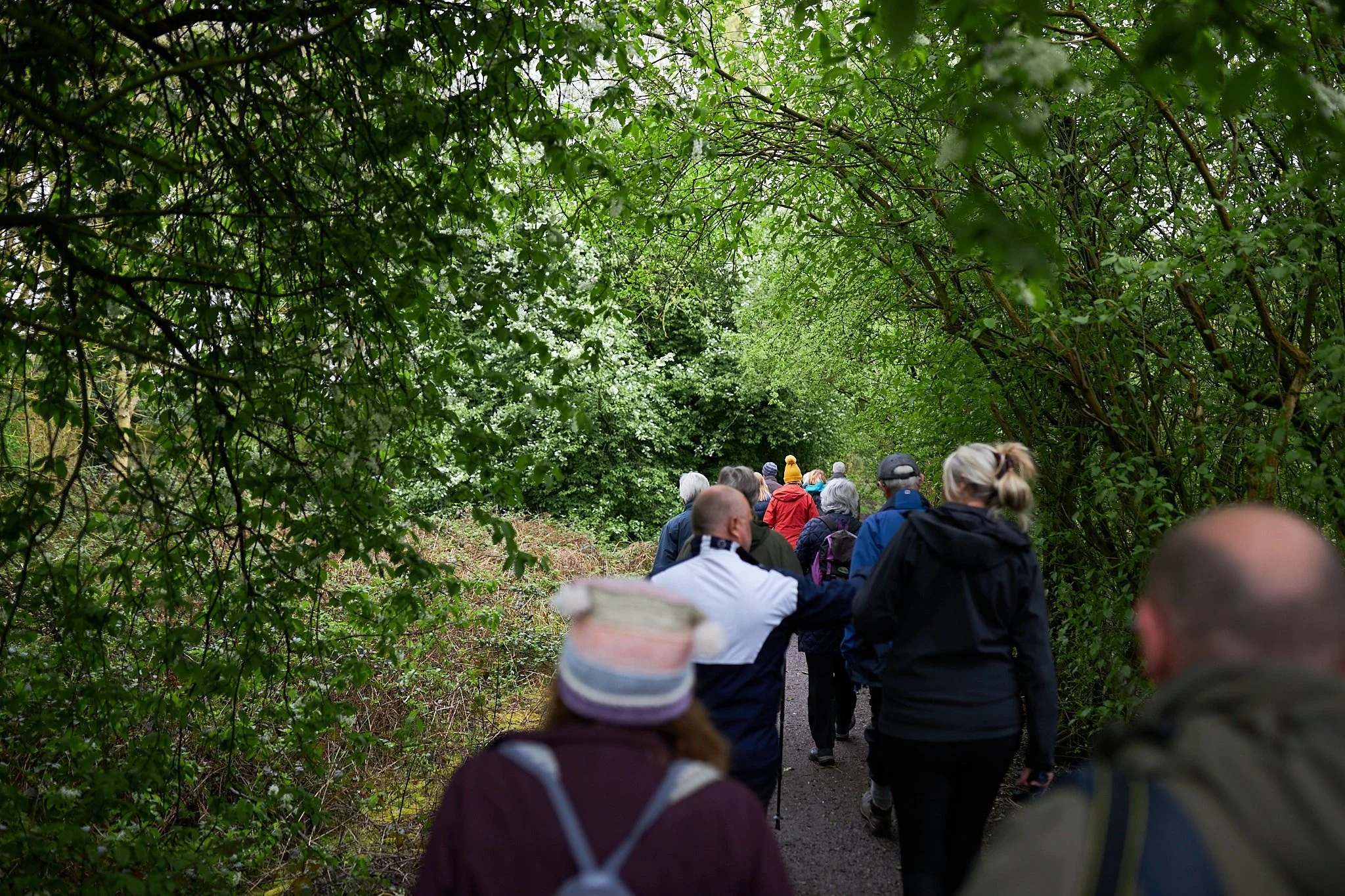 'Walls and Wildlife' A walk led by historian Barbara Phipps 10.jpg