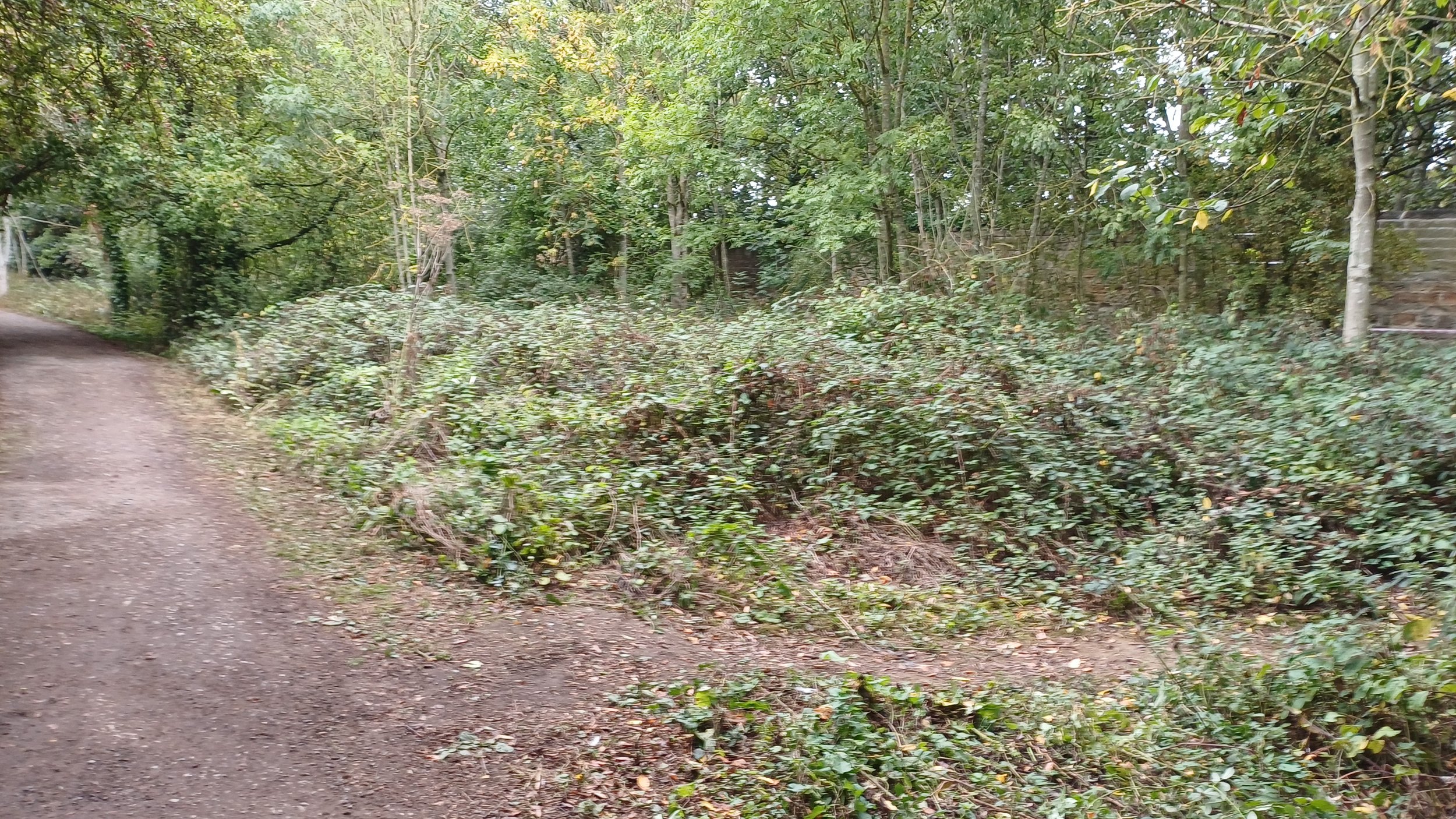 Before.jpg