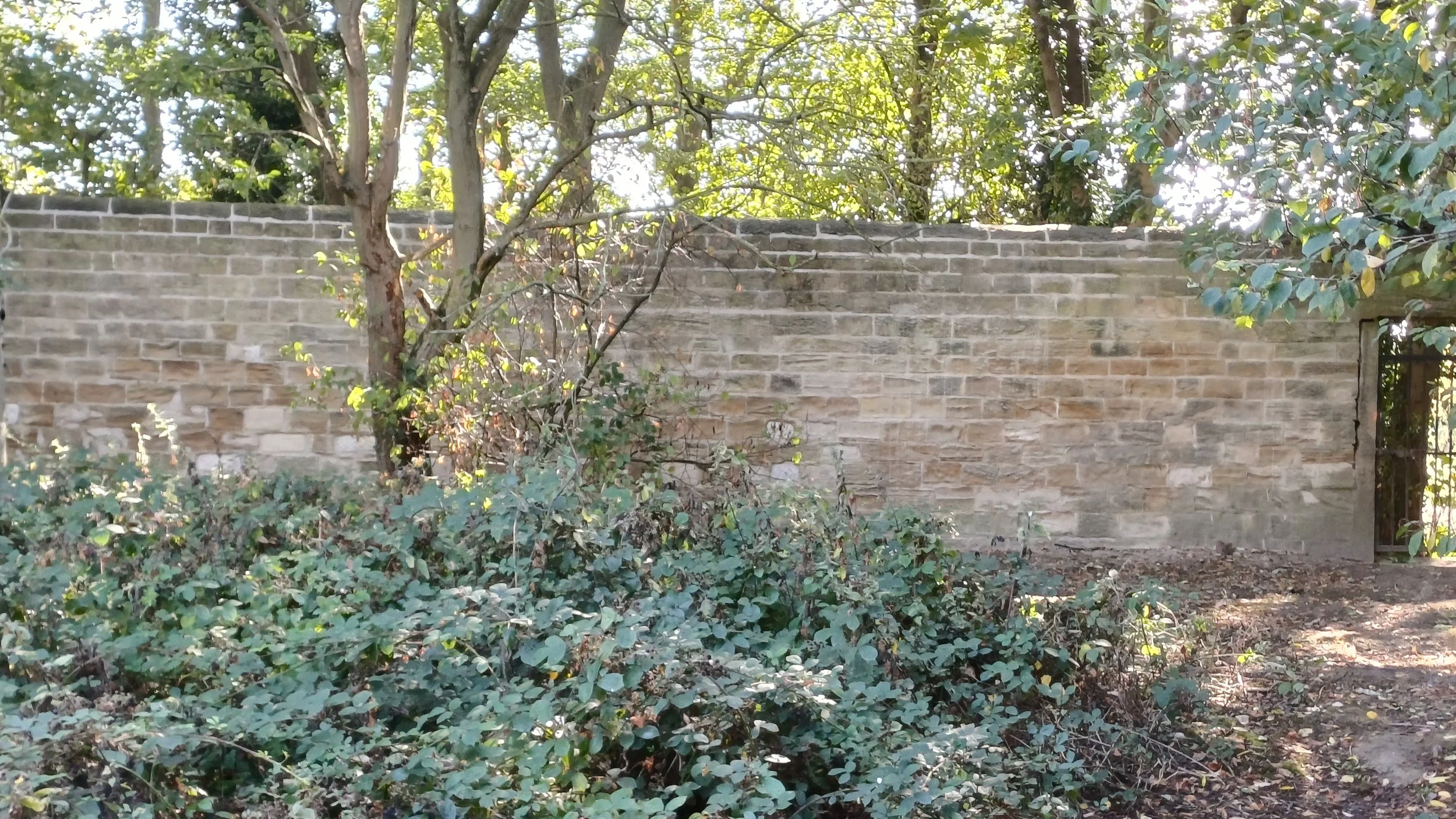 The wall by The Nest.jpg