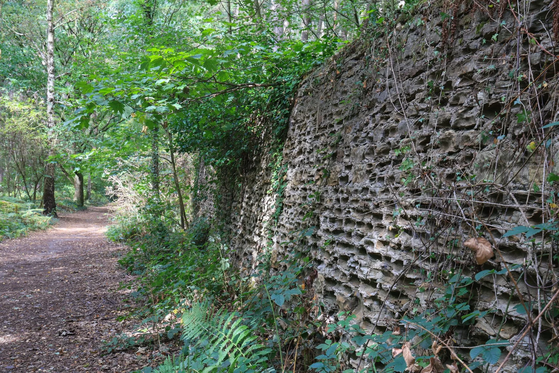September 2025.jpg