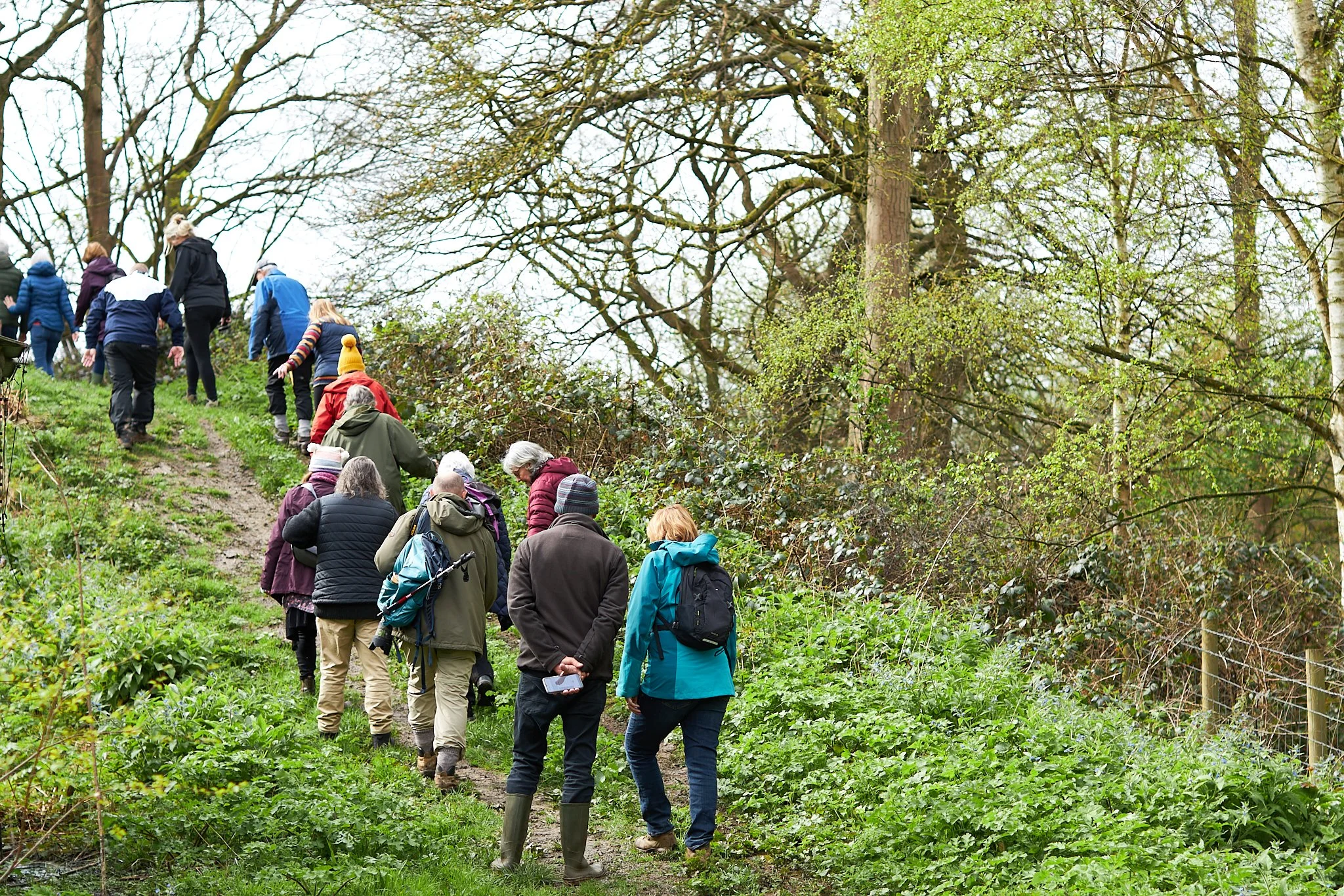 'Walls and Wildlife' A walk led by historian Barbara Phipps 29.jpg
