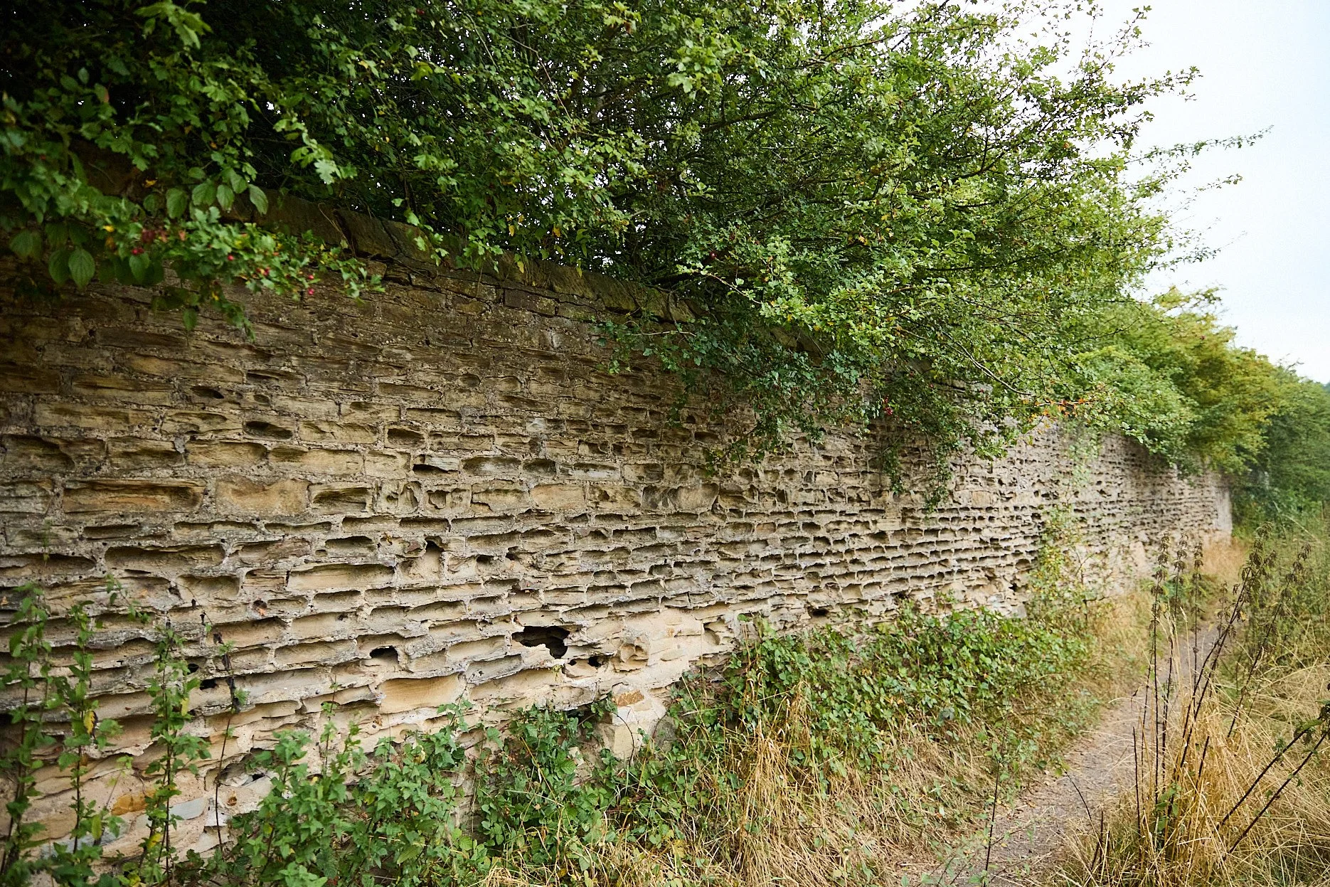 A section of the old stone wall with a rough, textured surface, covered partially with green foliage and plants, and adjacent to a pathway.