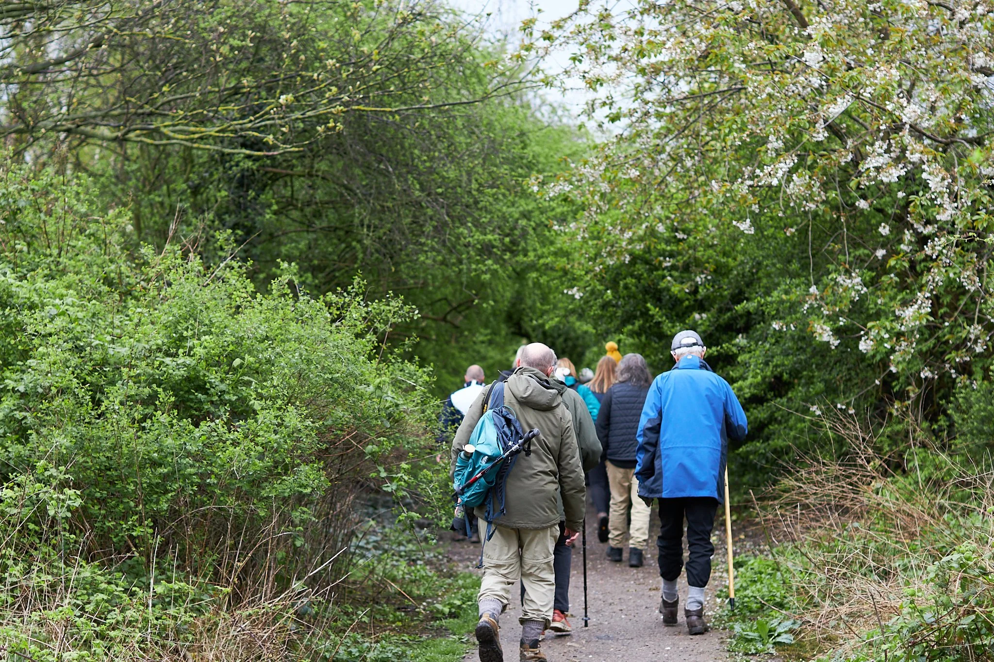 'Walls and Wildlife' A walk led by historian Barbara Phipps 5.jpg