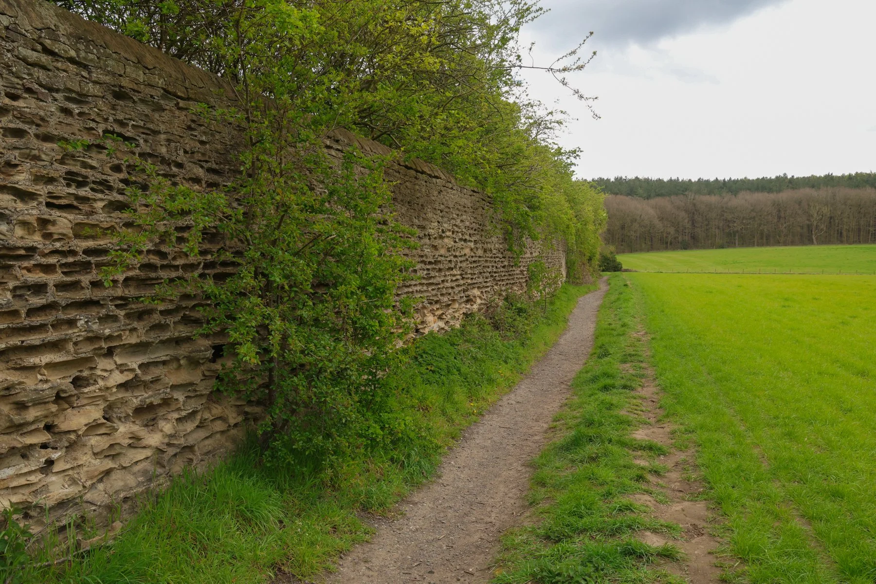 The wall through the year
