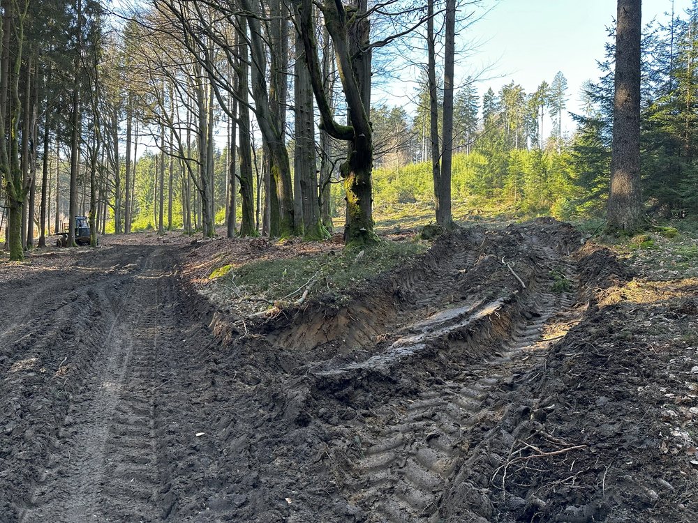 Stopy po těžké lesní technice a poničená cesta