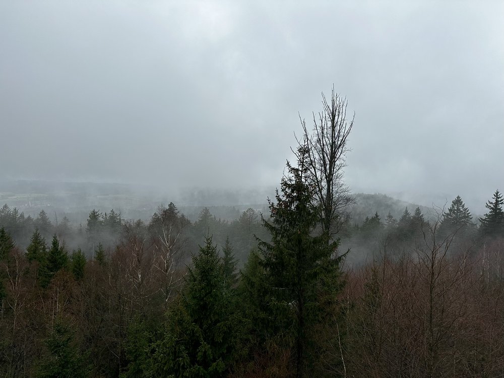 Pršelo, byla mlha, ale i tak bylo jasné, že vyhlídka na Großer Steinu musí být hezká