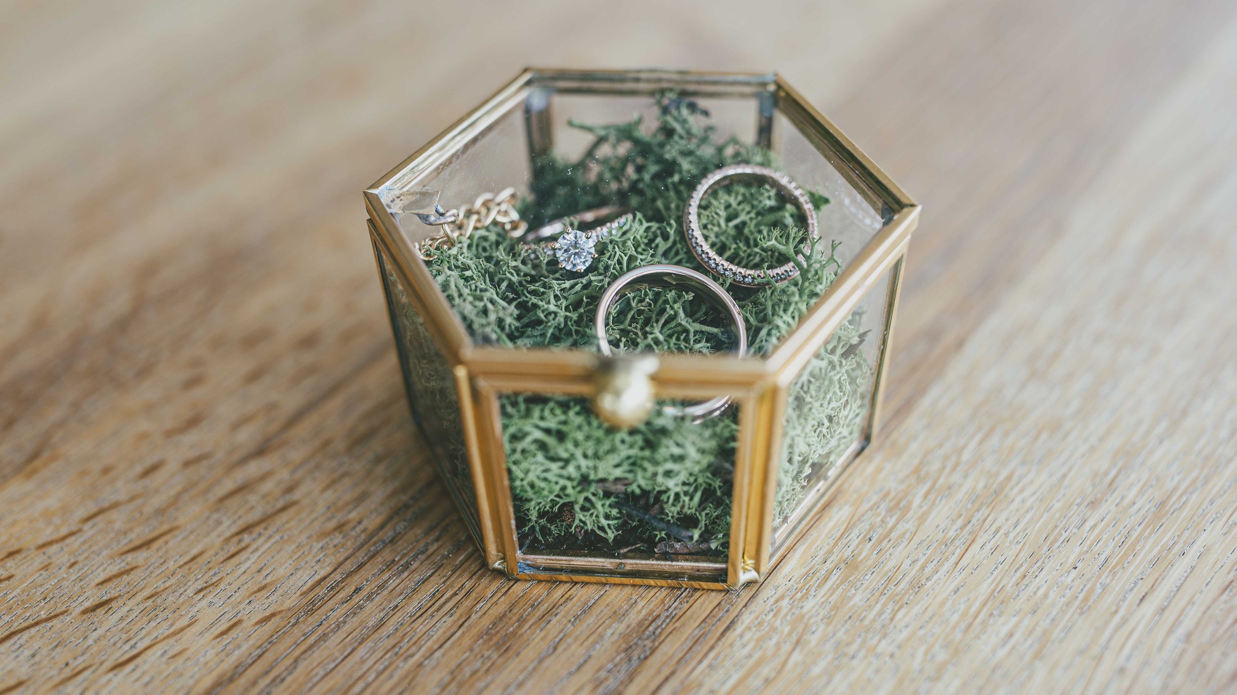 Kleine Schmuckschatulle aus Glas mit Goldrand, gefüllt mit Moos. Darin liegen drei Ringe, darunter ein Solitärring mit einem einzelnen Edelstein. Die Schatulle steht auf einem Holzuntergrund.