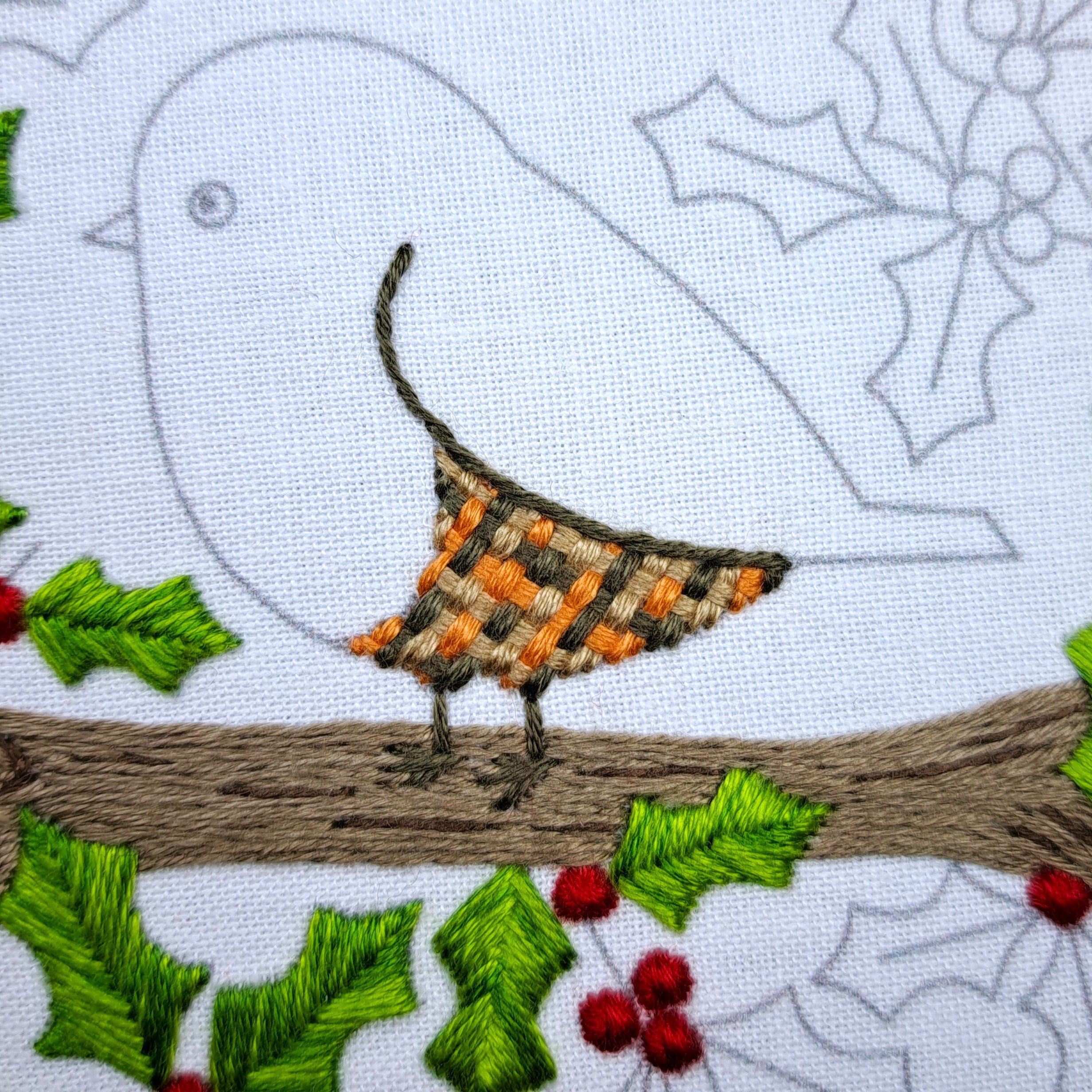 Close-up of brown Stem Stitch along the robin’s wing line.