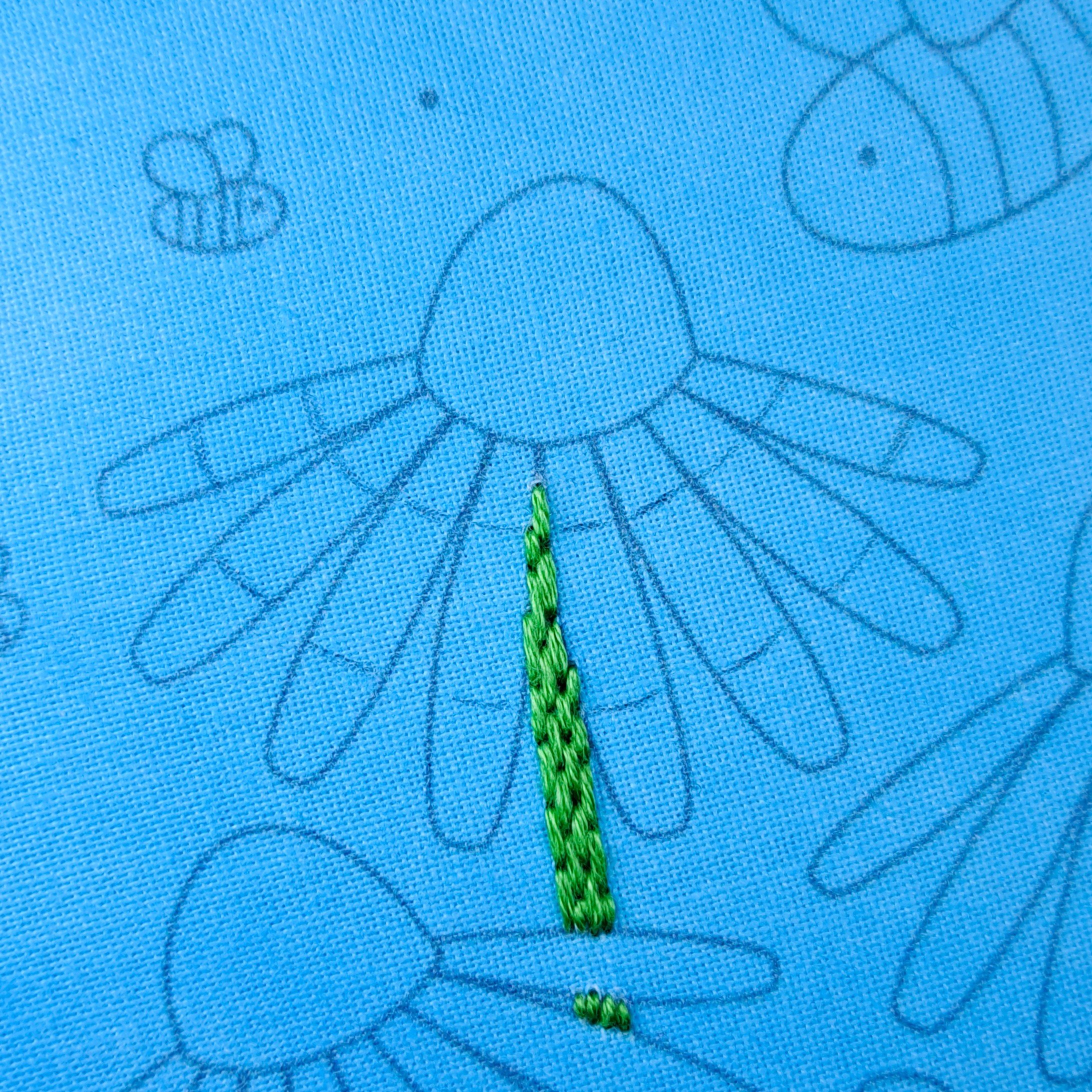 Close-up of the middle Echinacea flower with guidelines drawn on to each flower petal. These lines divide the petals into three sections.