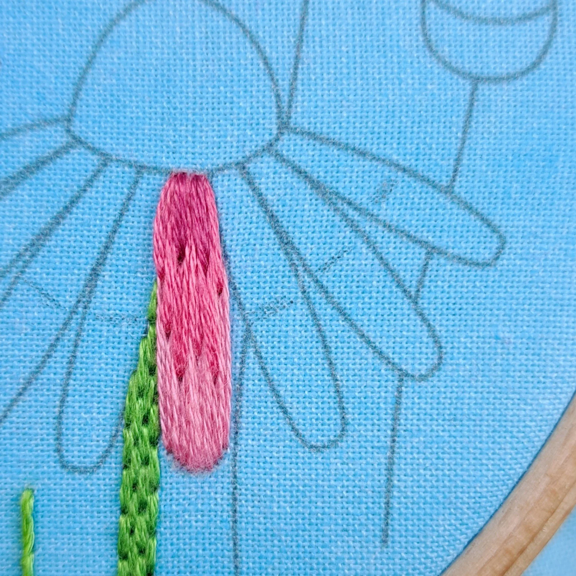 Close-up of the right side Echinacea flower with guidelines drawn on to each flower petal. These lines divide the petals into two sections.