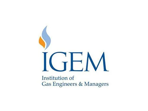 IGEM_Carousel.jpg