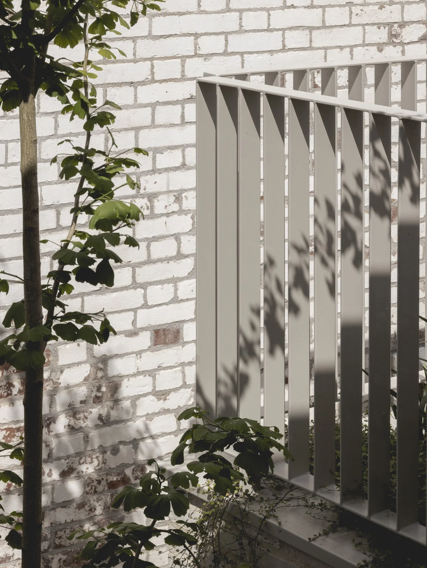 Angus Webster Architects & Millard & Flo - Padstow Cottage