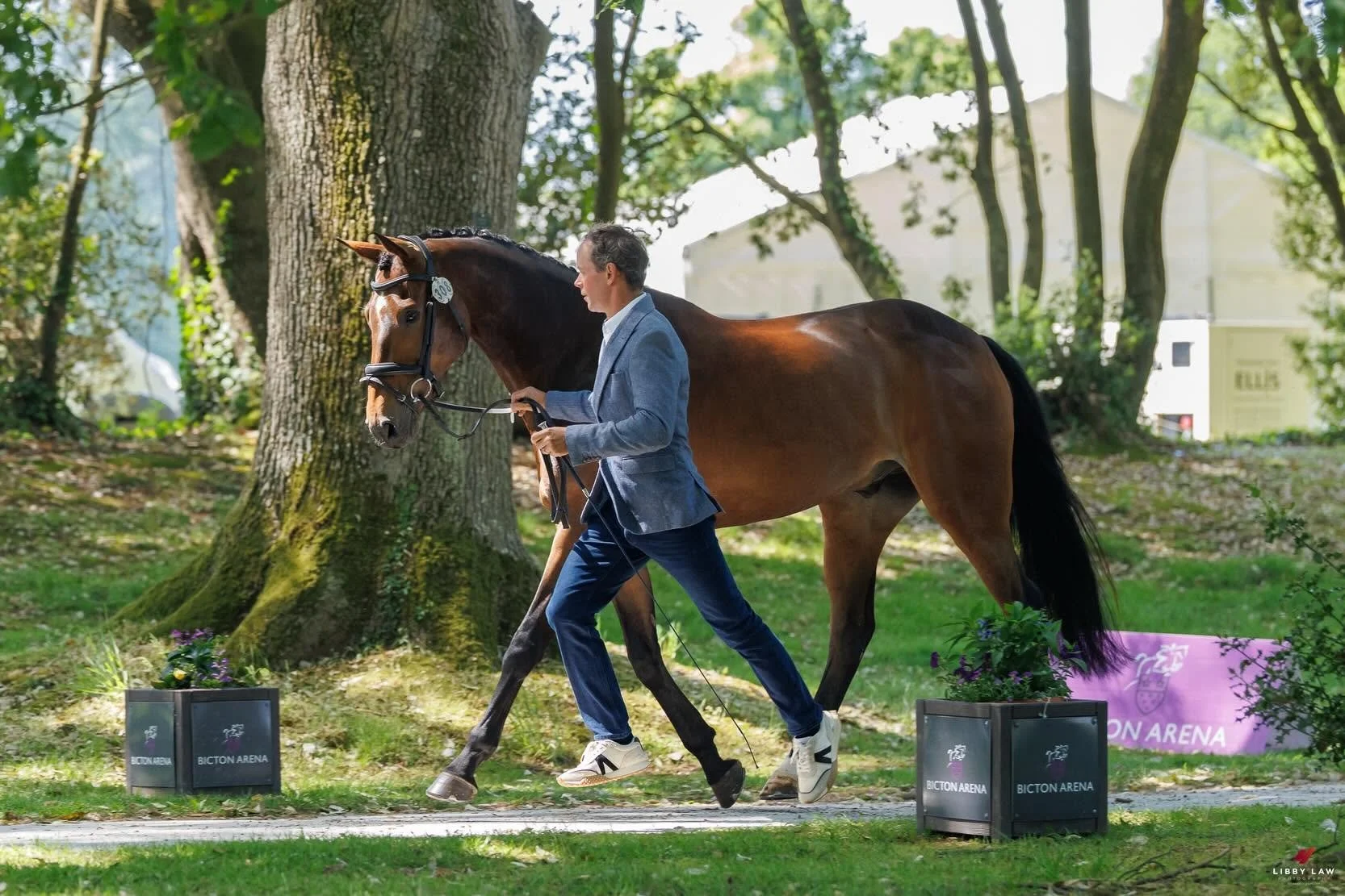 Arnold the bear trot up Bicton.jpg