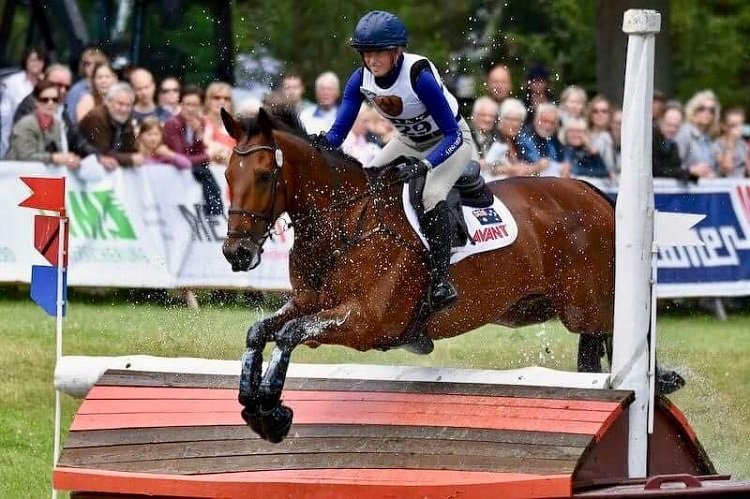 Fernhill Tabasco at Luhmuhlen.jpeg