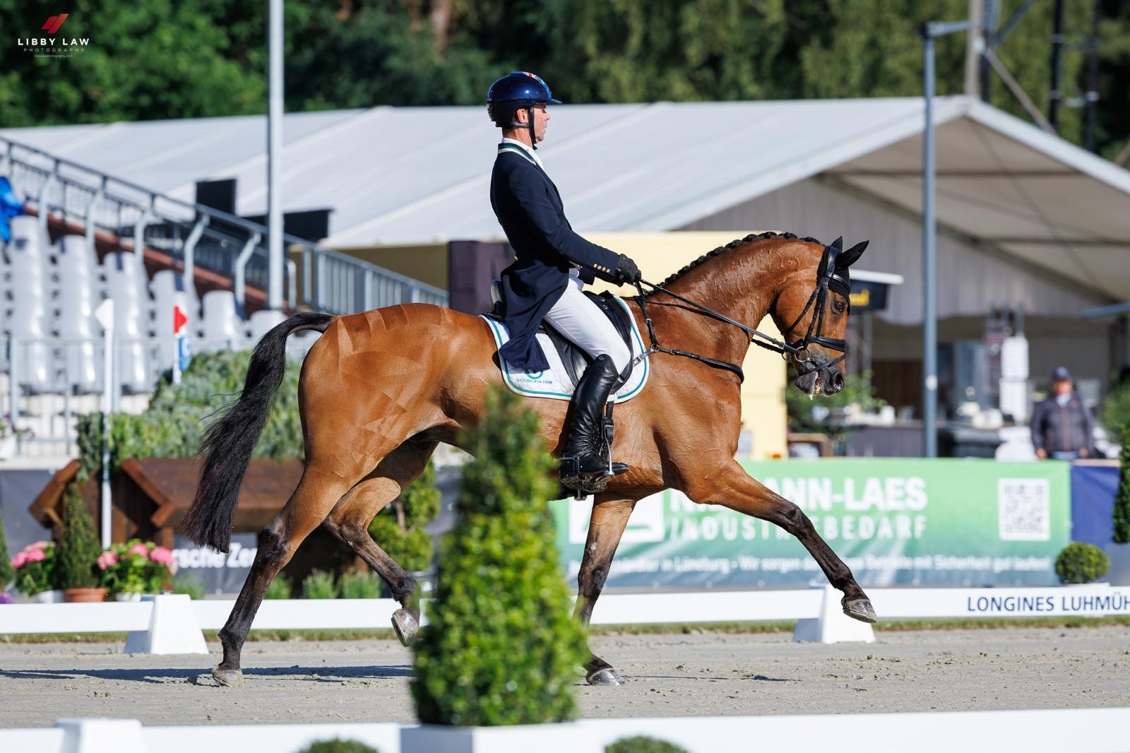 Faro Imp 2026  Dressage Luhmuhlen CCI4*