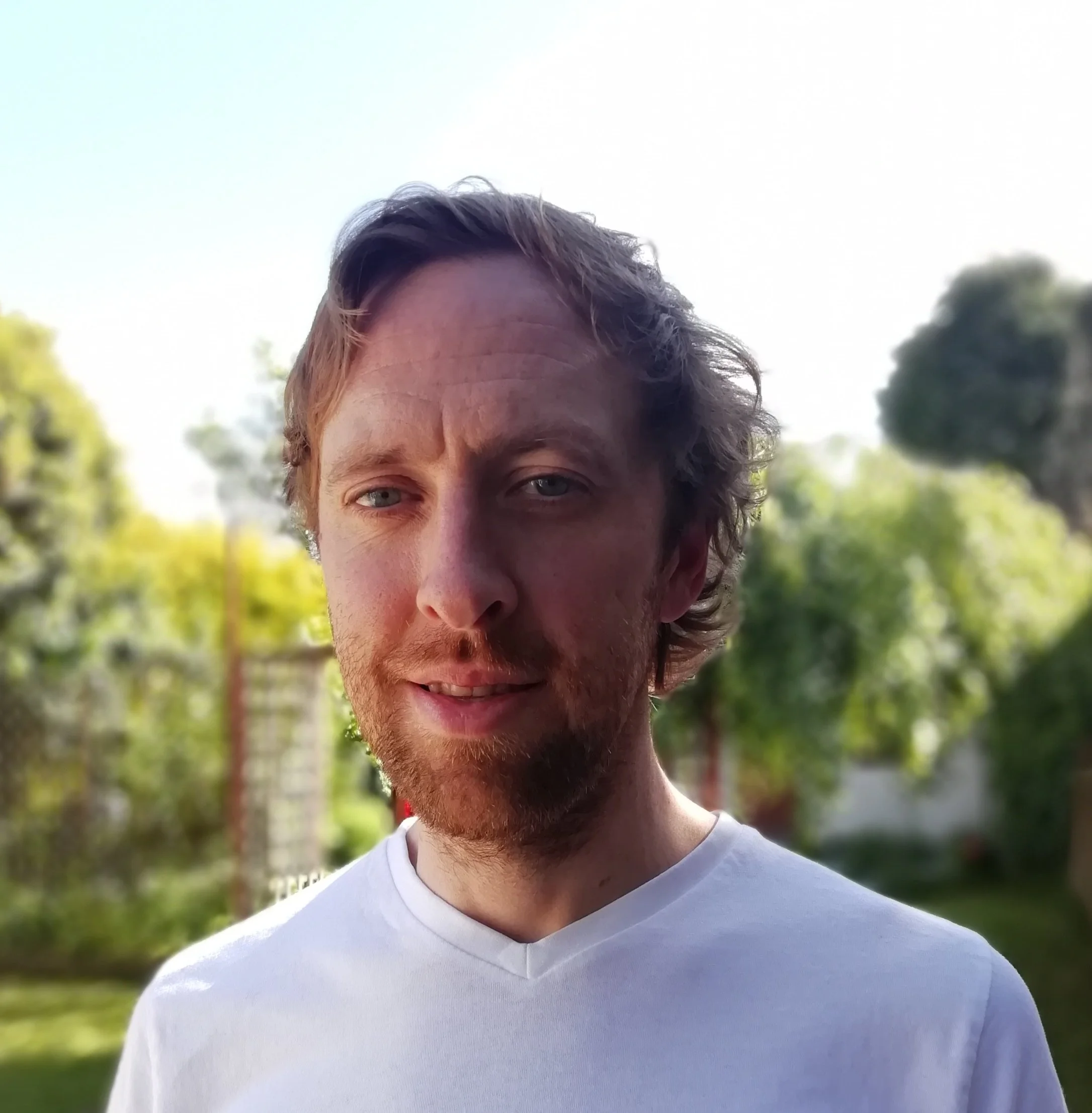 Eamon McGuinness — The Pig's Back