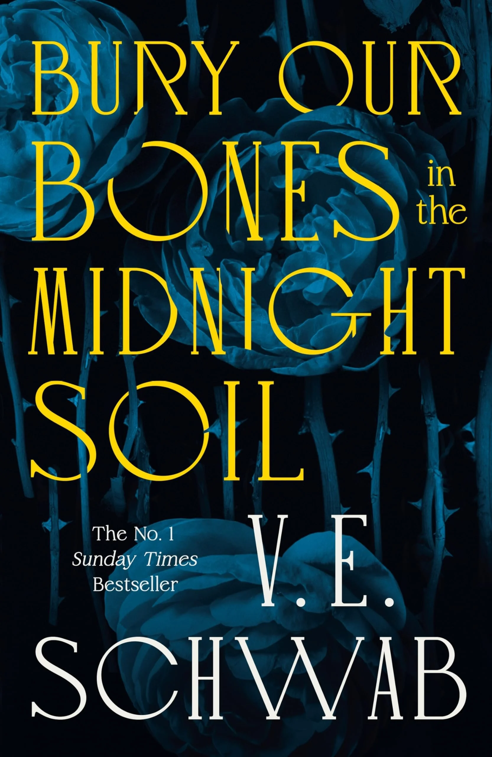 Queer Book Group 15th November: Bury Our Bones in the Midnight Soil