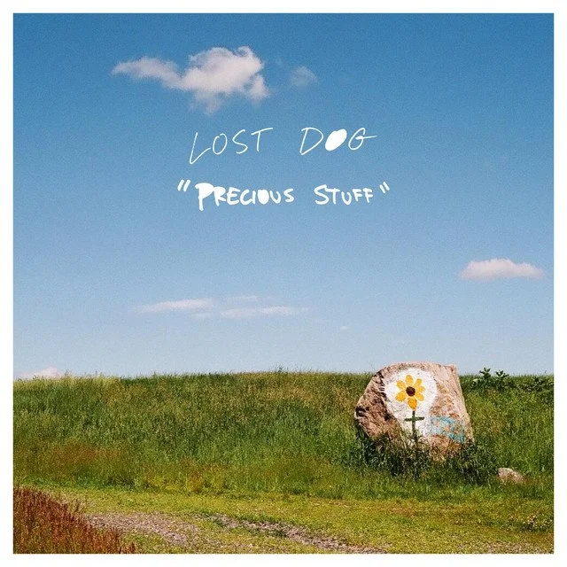 Lost Dog - Precious Stuff.jpg