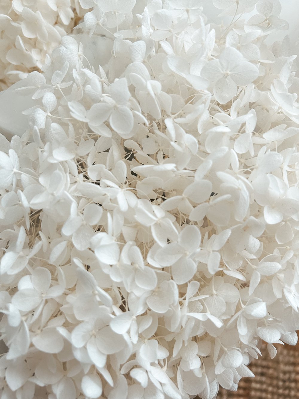 Bella Preserved Hydrangea Dried Flowers Arrangement – Massoury