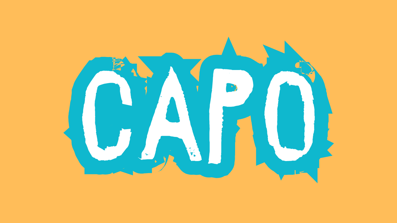 What is a Guitar Capo?