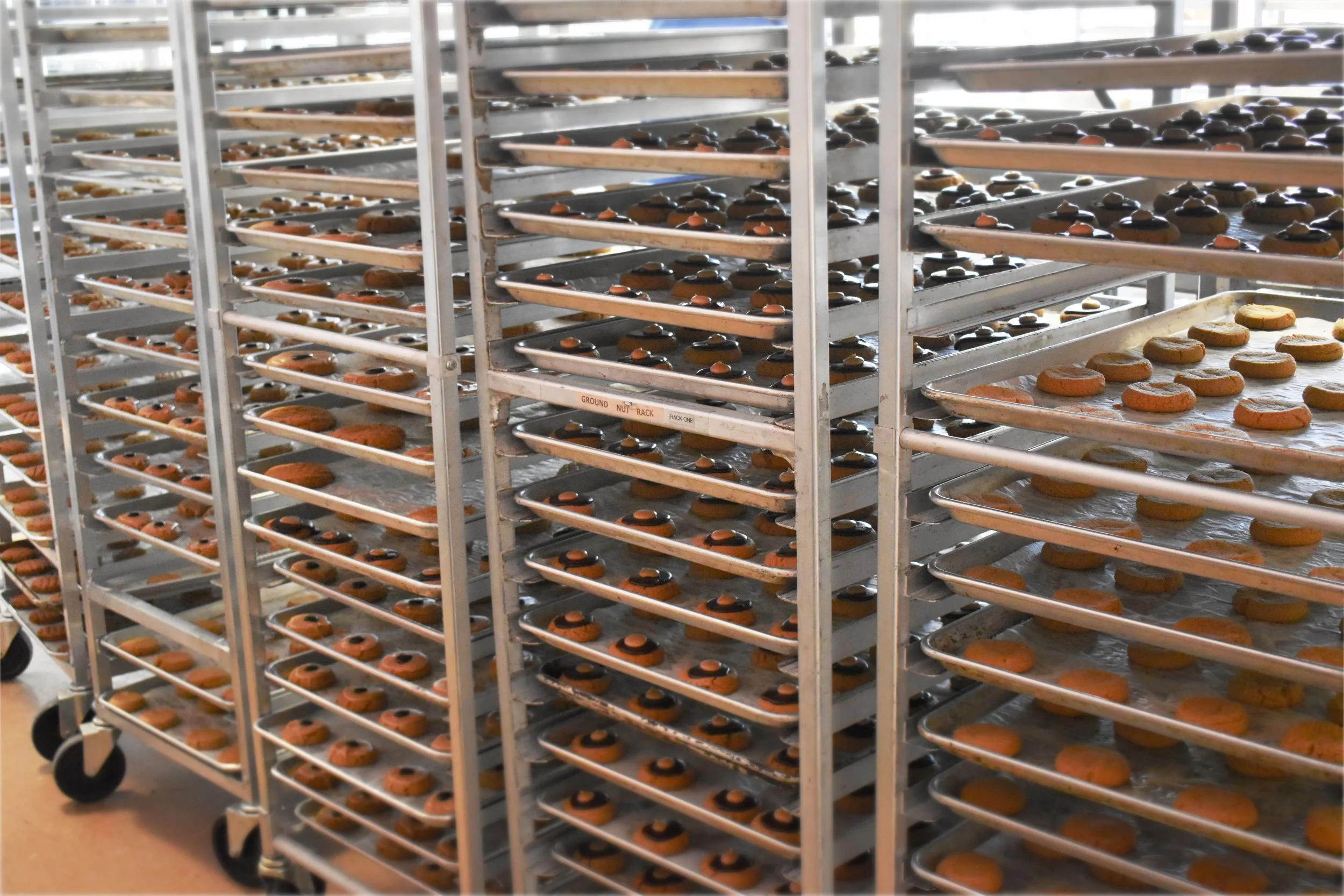 cookies on cooling rack - frosting racks.jpg
