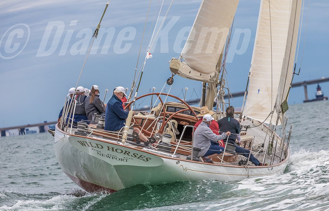 019A0522@0.3x_Wildhorses.jpg