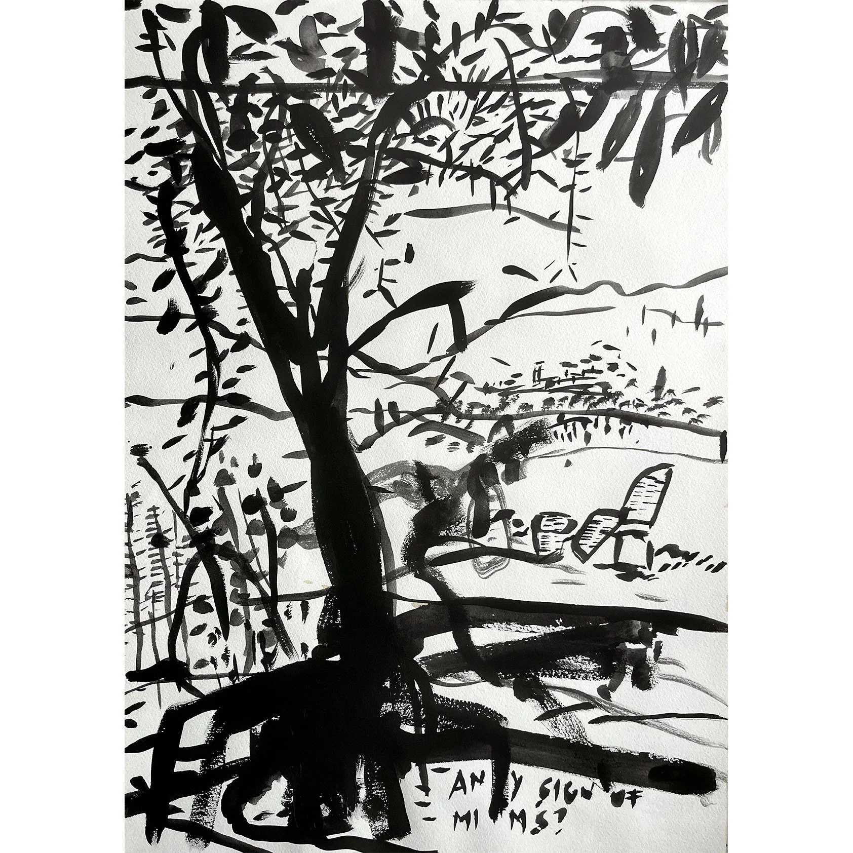 View To Camaiore (Tuscany 2023)