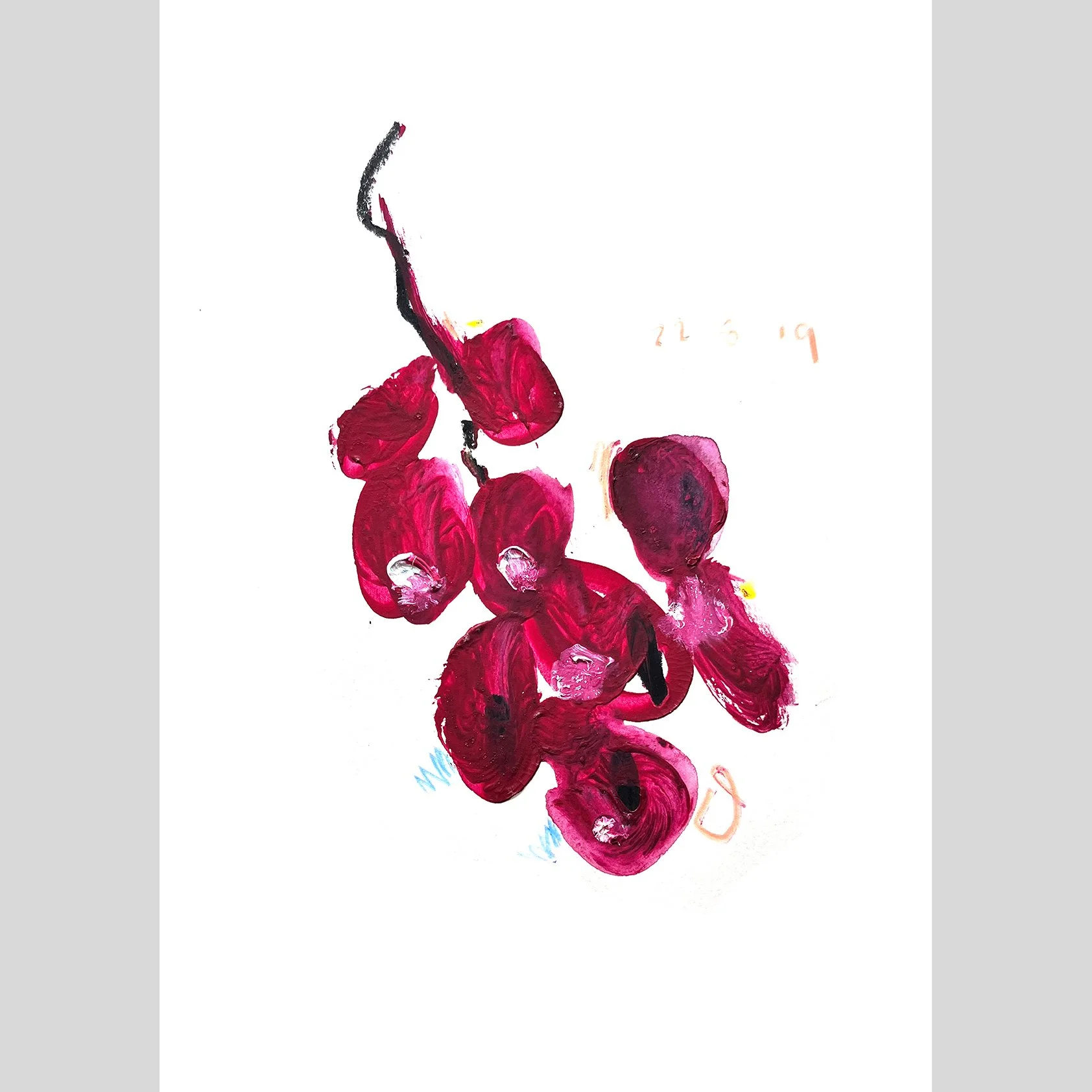 ALL_PORT_6_0006_Vector Smart Object_0099_ALL_PORT_7_0020_GRAPES.jpg