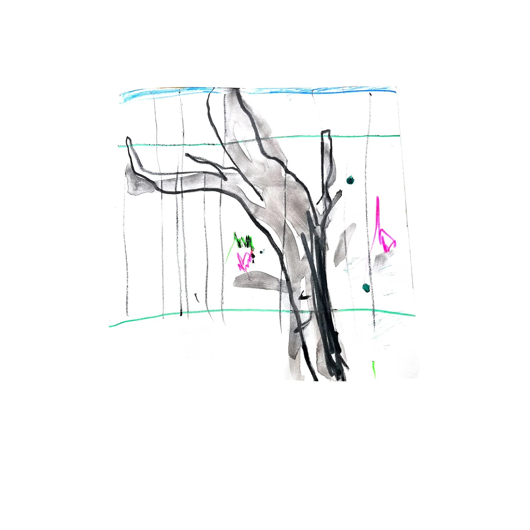 Vine In The Allotment (2020)