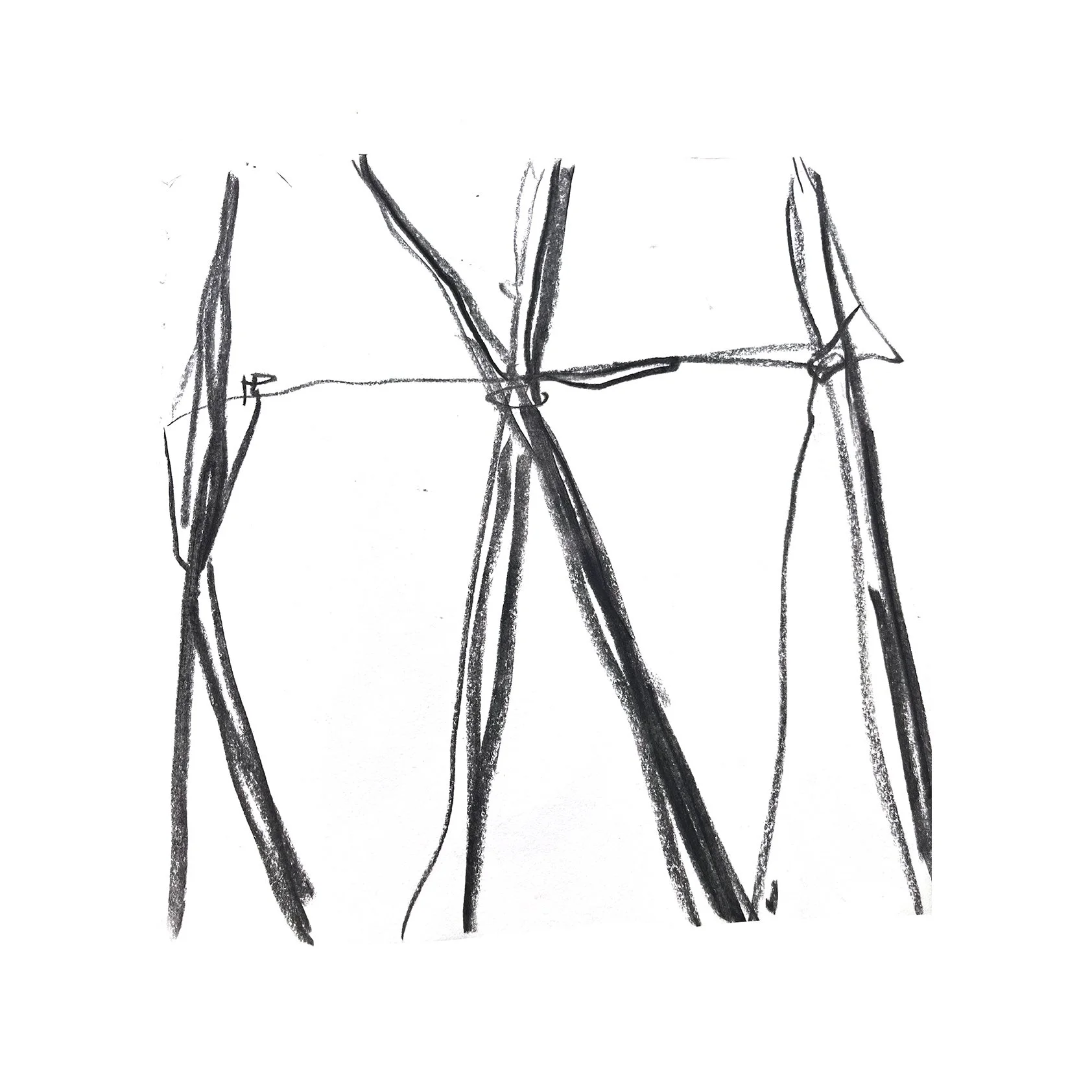 Pandemic Sticks In Charcoal 2 (For Sweet Peas) (2020)
