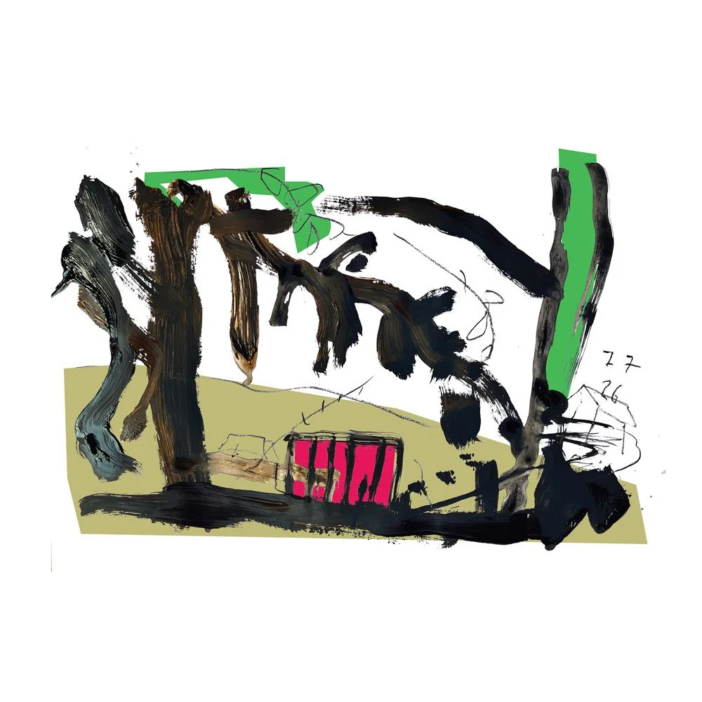 View Of Ze Garden 5 (now in colour) (July 2026)