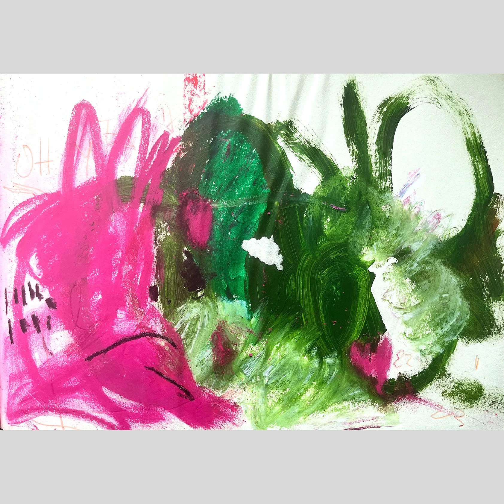 ALL_LANDS_01_0000_Layer 1_0020_ALL_LANDS_01_0008_GREEN VS PINK.jpg