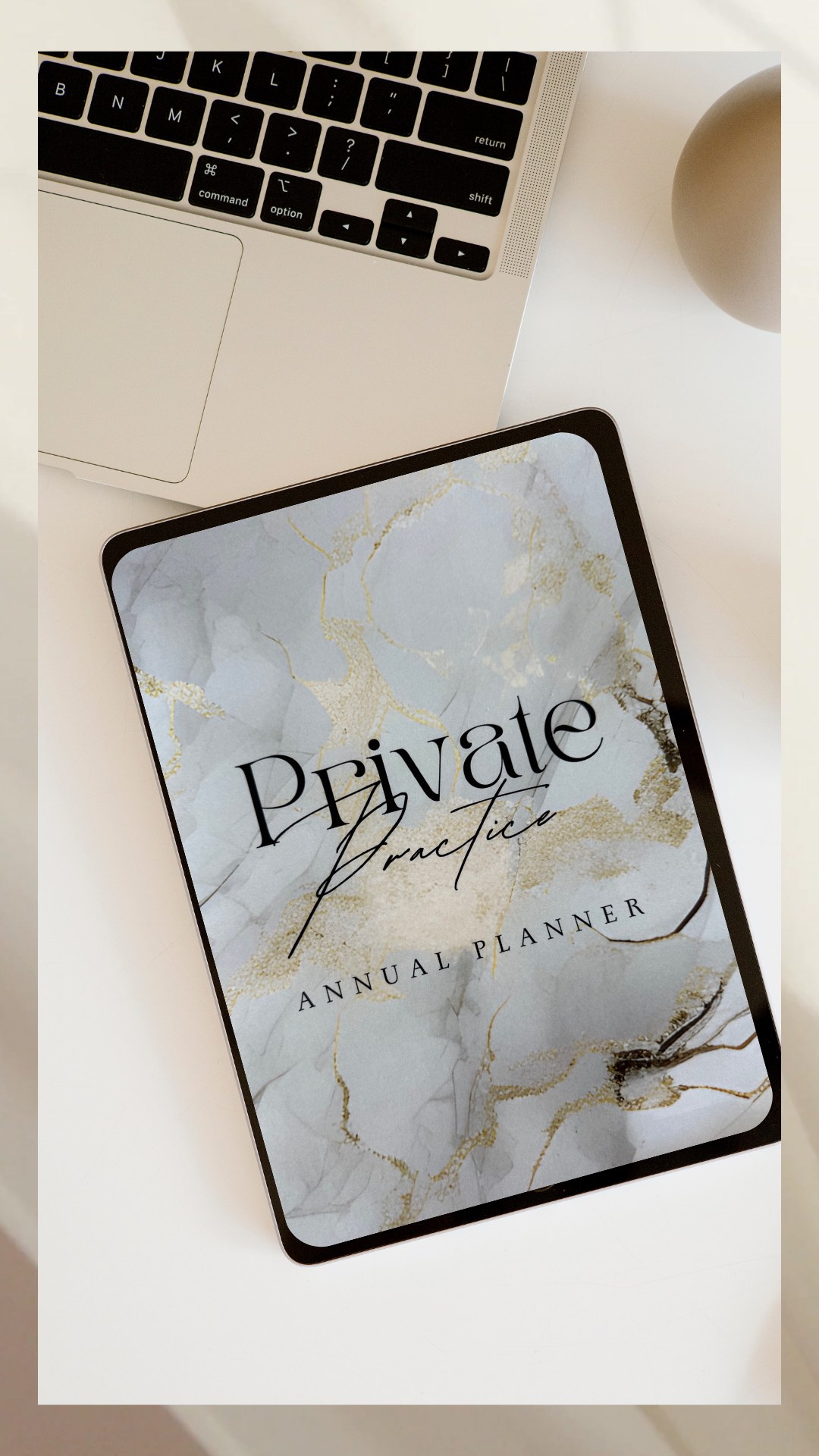 Annual Private Practice Planner- Undated