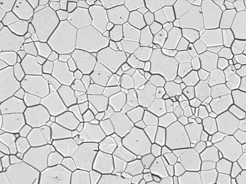Grain Size Analysis Module